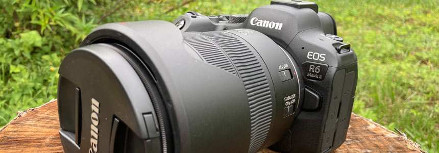 Why I Decided to Upgrade and Buy Canon EOS R6 Mark II for Photography